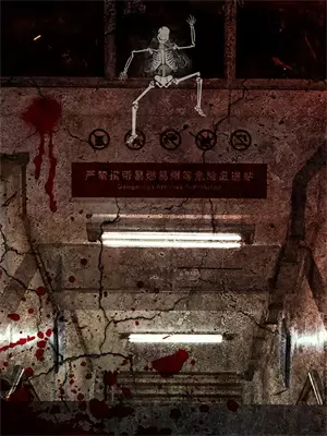 两生关小说