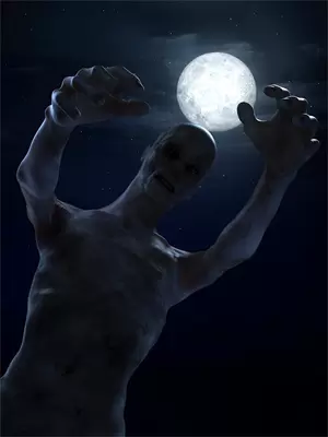白雪佳丽别人佳丽三千，我却反手搞纯爱全本免费在线阅读_别人佳丽三千，我却反手搞纯爱全本阅读